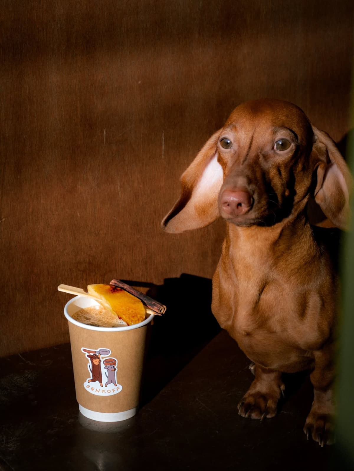 BENKOFFの看板犬とシグネチャードリンク