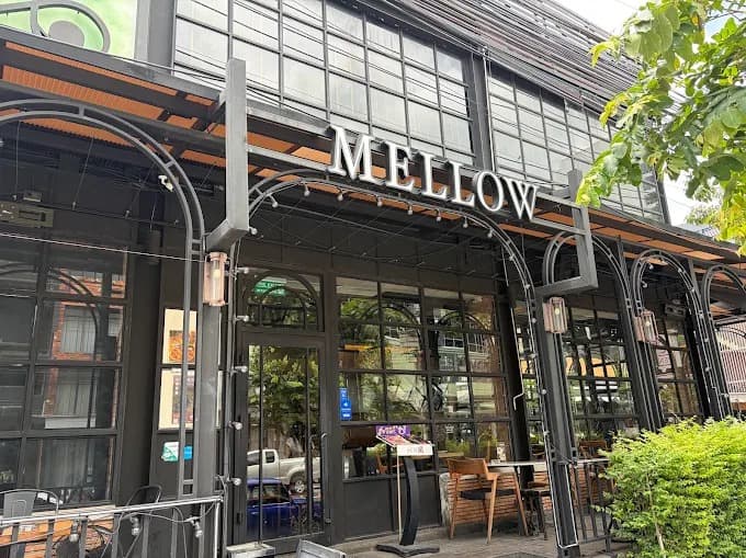 Mellow Thong Lo
