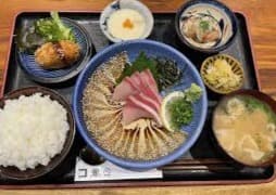 新鮮なお刺身や小鉢が美しく並ぶ、「コの字 KONOJI」で人気のごまぶり定食