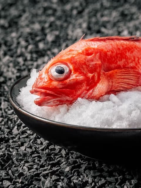 氷の上に盛り付けられた鮮魚